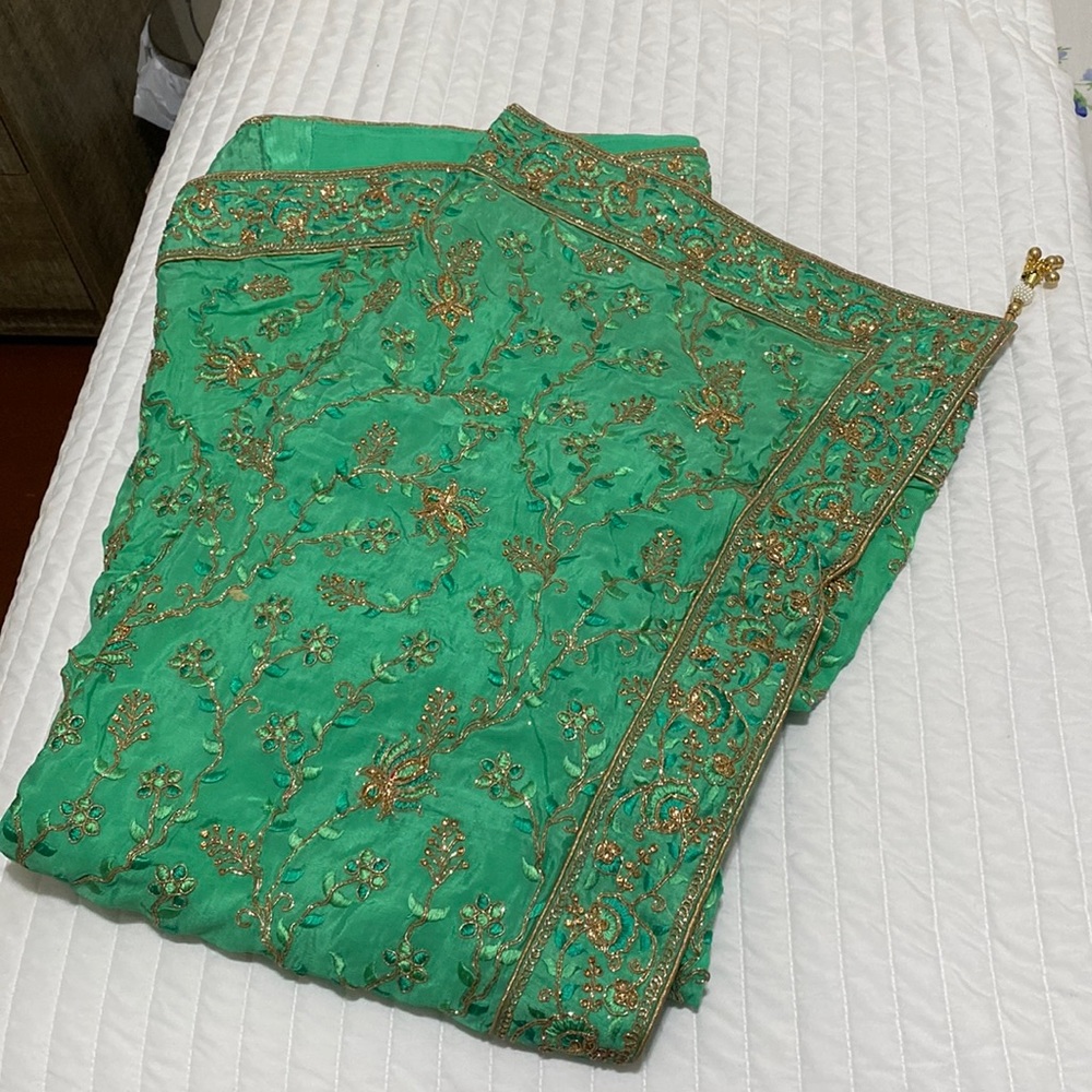 SOLD BRAND NEW SAREE WITH CHAMPAGNE EMBROIDERY